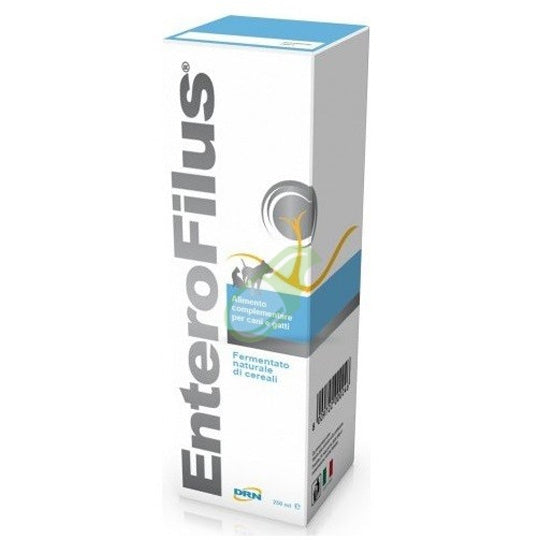 Drn enterofilus