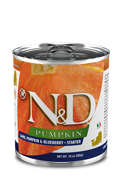 LAMB, PUMPKIN & BLUEBERRY - STARTER WET FOOD