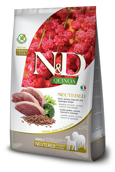 NEUTERED ADULT MEDIUM & MAXI