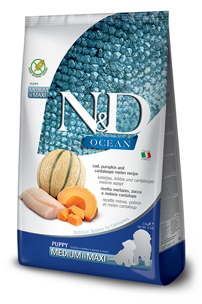 COD, PUMPKIN AND CANTALOUPE MELON PUPPY MEDIUM & MAXI
