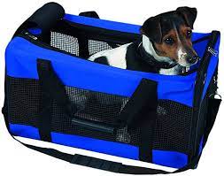 Borsa Ryan
