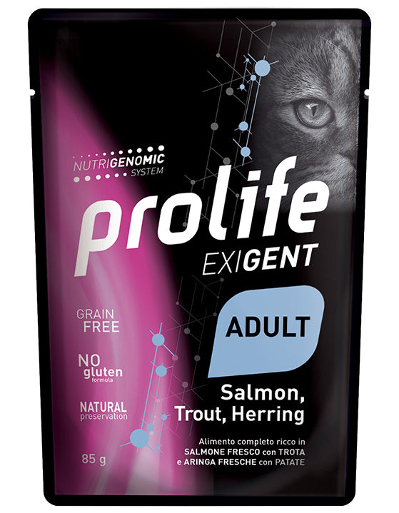 Exigent Adult Salmon, Trout, Herring