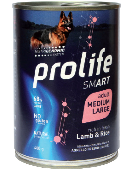 Smart Adult Lamb & Rice - Medium/Large