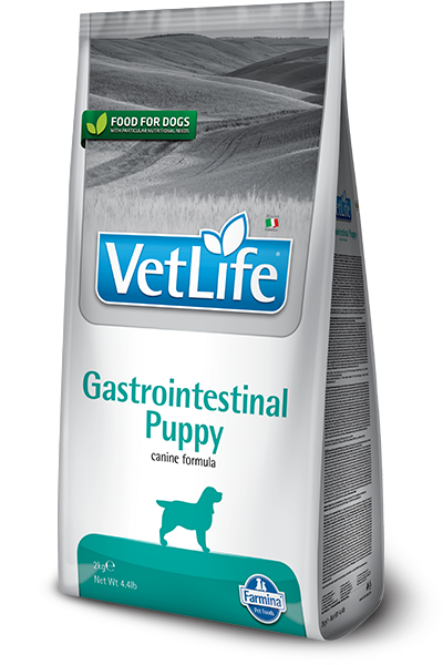 VETLIFE NATURAL DIET DOG  GASTROINTESTINAL PUPPY