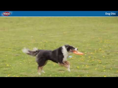 Dog Disc