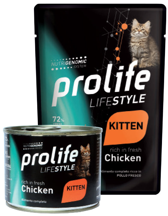 Life Style Kitten Chicken