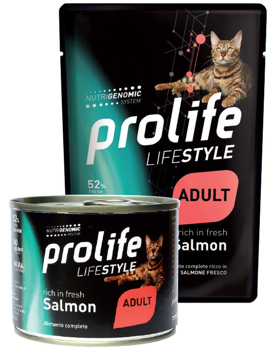 Life Style Adult Salmon